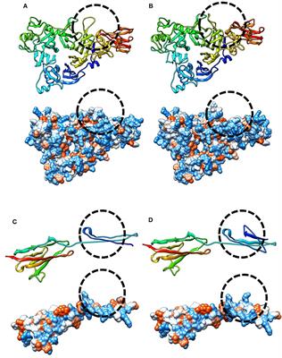 SEMA3A and IGSF10 Are Novel Contributors to Combined Pituitary Hormone Deficiency (CPHD)